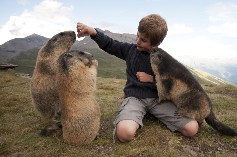 Illustration for article titled Science demands that you stop calling this kid the 'Marmot Whisperer'